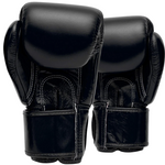 Gants de Boxe Fairtex BGV1