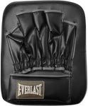 Everlast Punch Kick Mitt