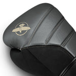 GANTS DE BOXE HAYABUSA T3