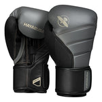 GANTS DE BOXE HAYABUSA T3